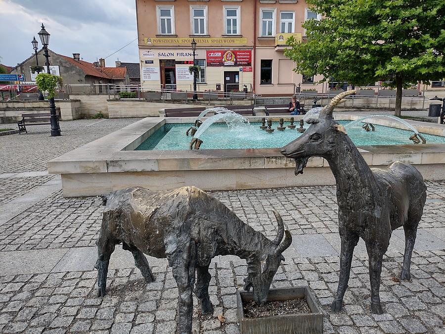 Brzesko - Rynek