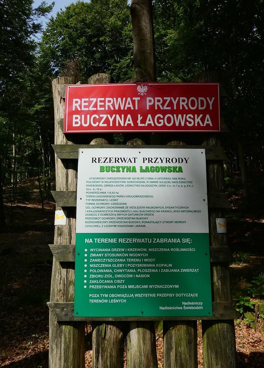 Rezerwat przyrody Buczyna Łagowska