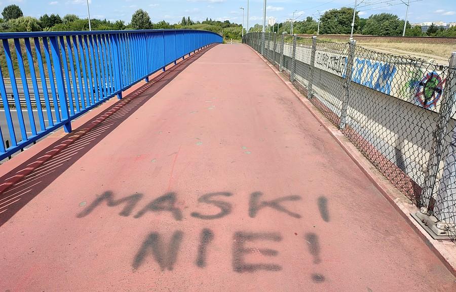 Lubońscy antymaskowcy. Na pomazanie pełnym zdaniem IQ nie starczyło :)