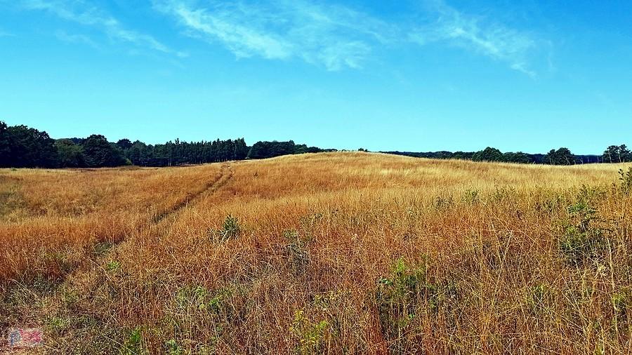 Uroki Drawskiego Parku Krajobrazowego w okolicy Bolegorzyna