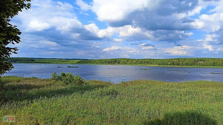 Rezerwat faunistyczny Jezioro Prosino