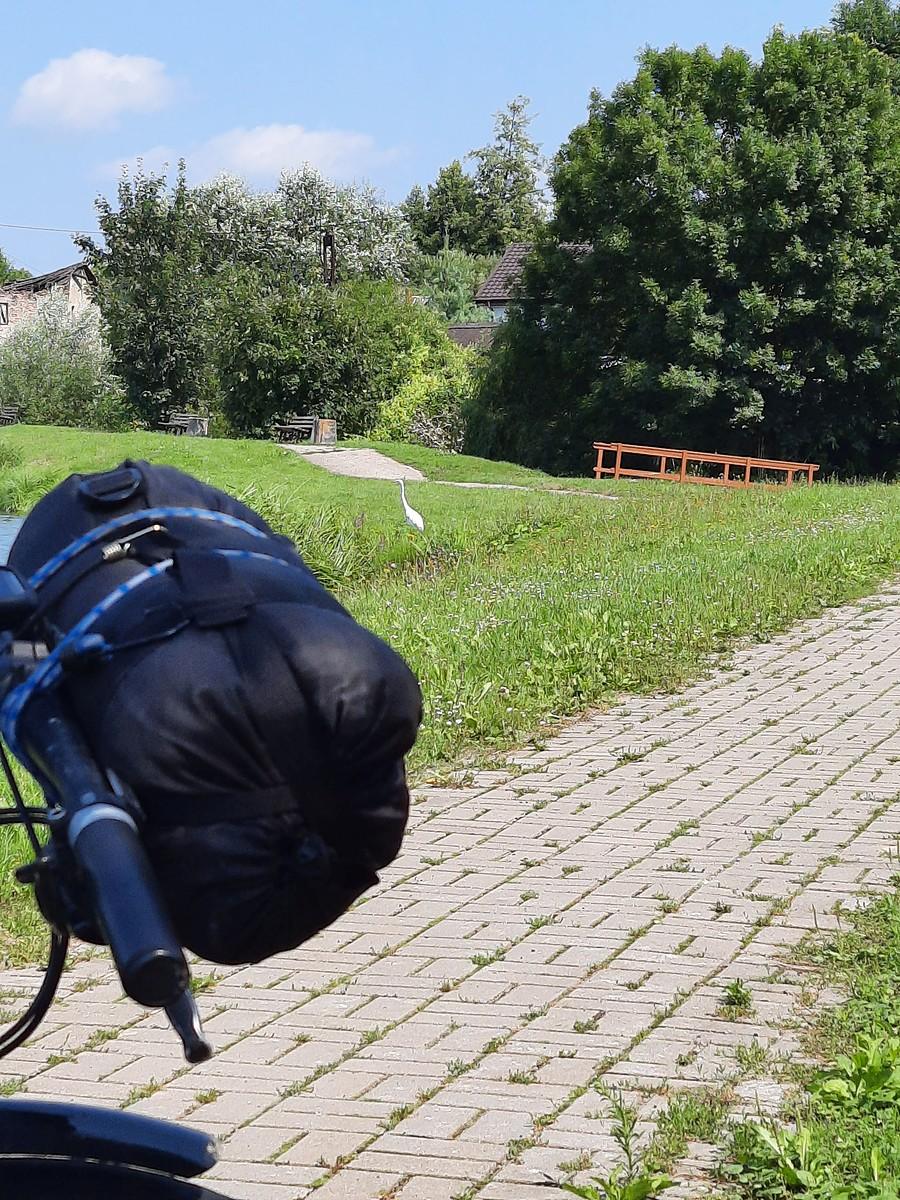 Trafiła się i czapla biała.