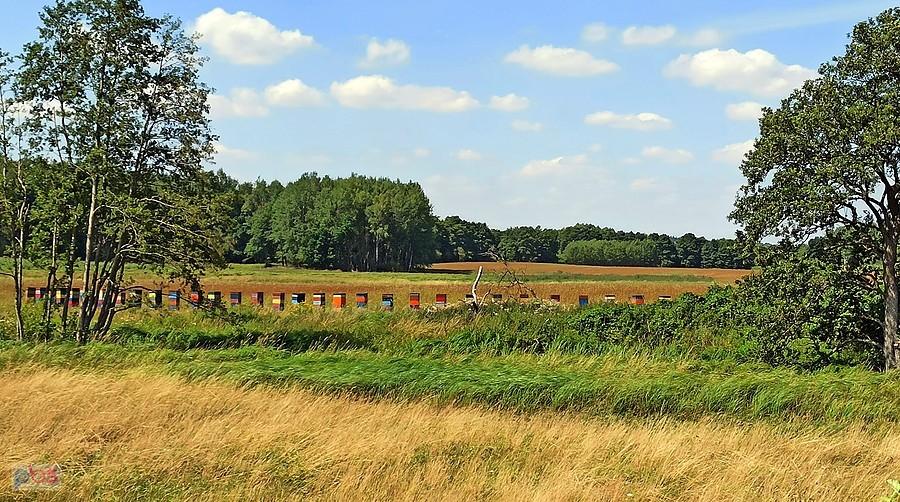 Przez Drawski Park Krajobrazowy