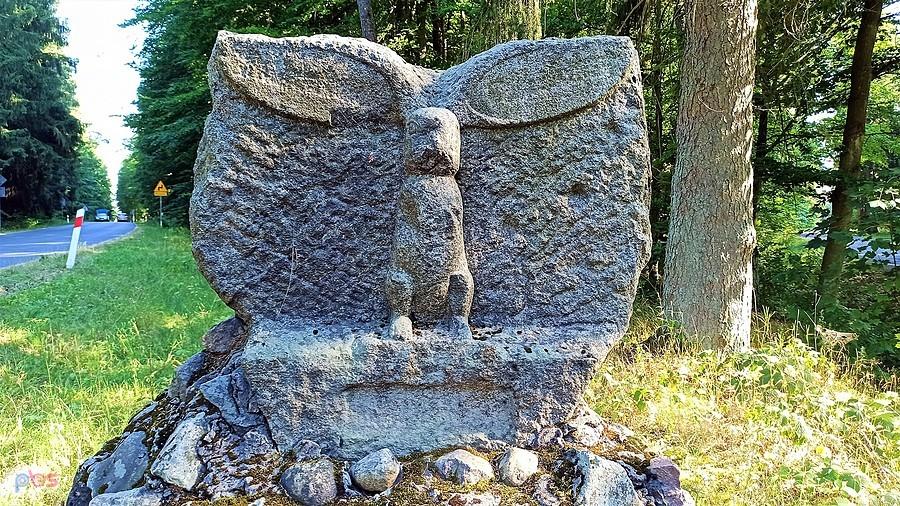 Zajączek Złocieniaszek - symbol Złocieńca