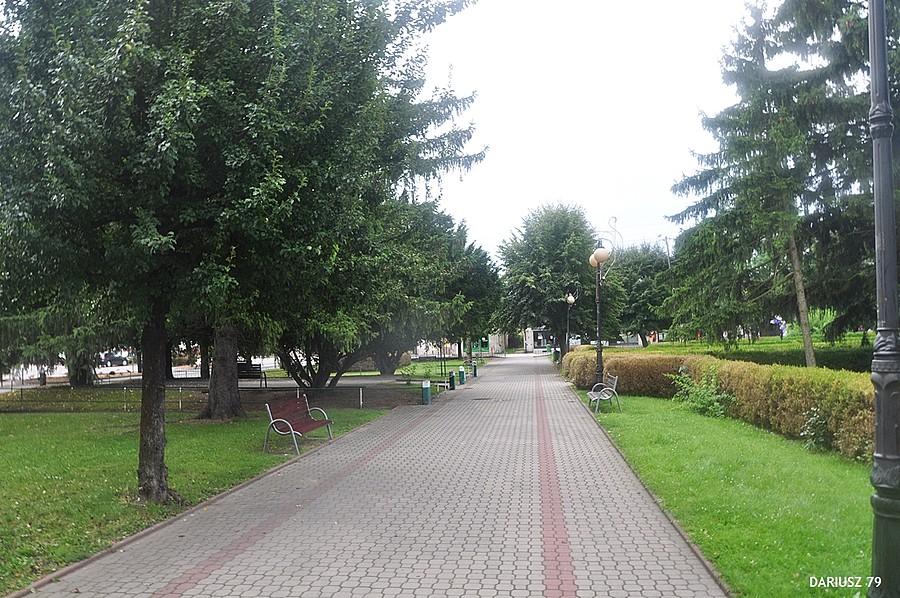 Rynek w Dąbrowie Tarnowskiej - Jeden z niewielu co zieleń dominuje