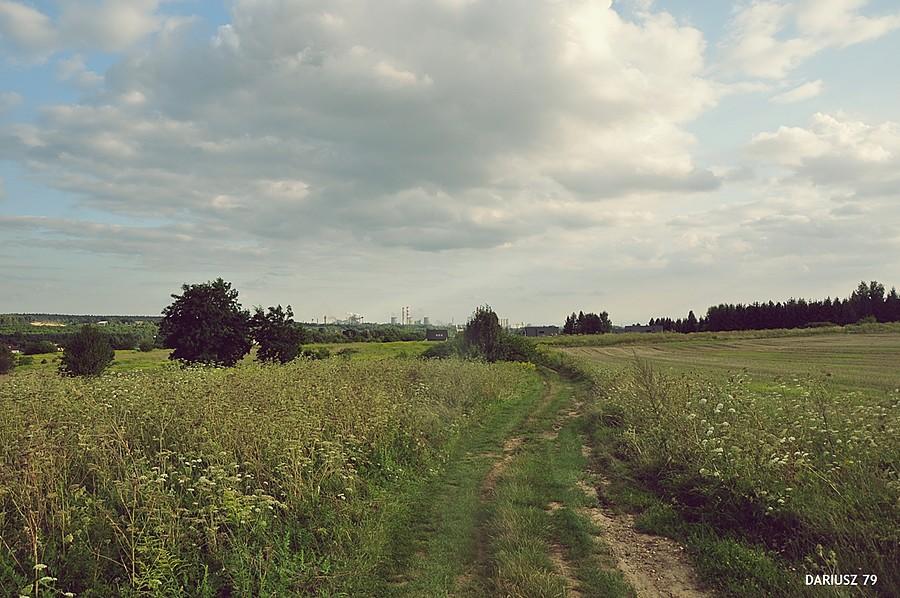 Widok na Ząbkowice