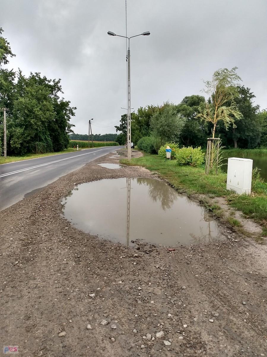Dużo pada w tym roku