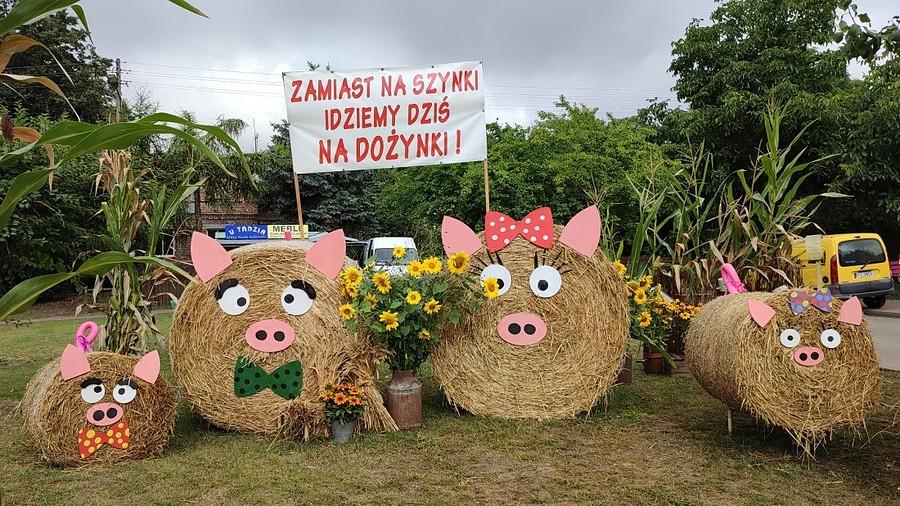 Zamiast na szynki... :)