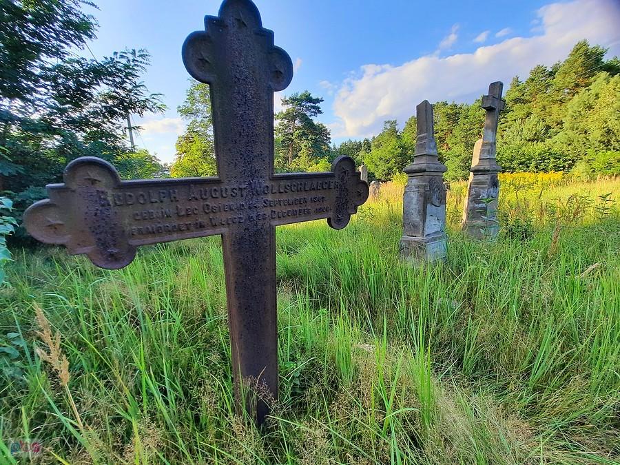 Zabytkowy cmentarz Mennonitów
