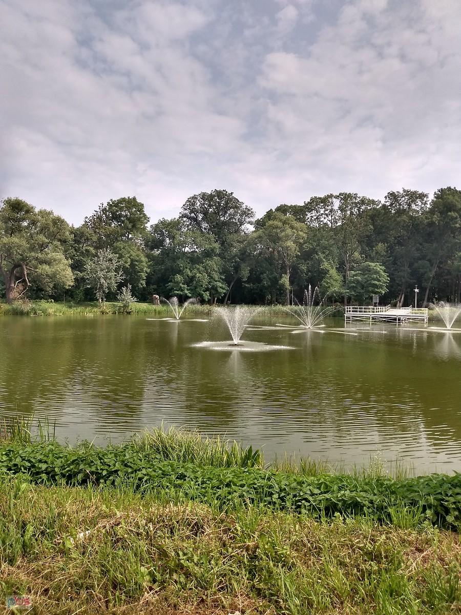 Staw w Ołtarzewie