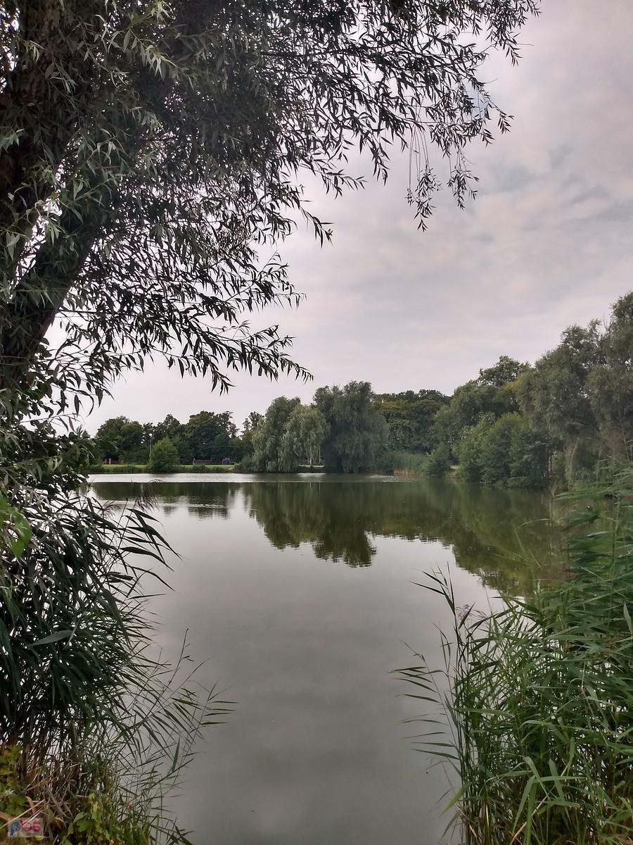 Staw w Zielonkach