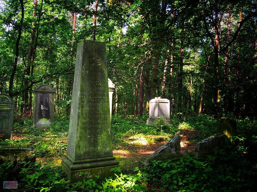 Cmentarz żydowski w Niezdrowicach