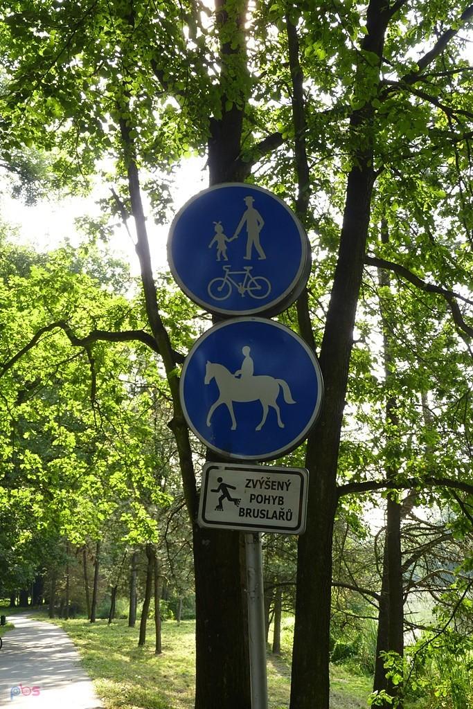 no to następnym razem przyjadę tu na koniu