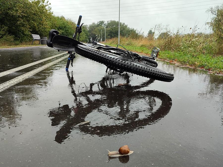 Jak zwykle podczas deszczu trzeba pomóc przejść ślimakom-samobójcom :)