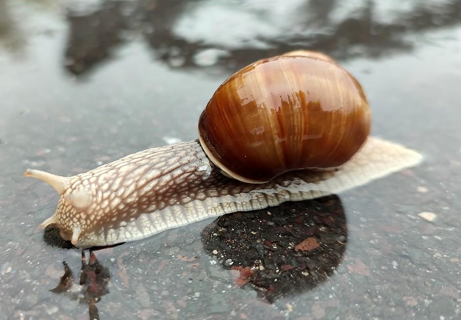 Fotka na chwilę przed przeniesieniem