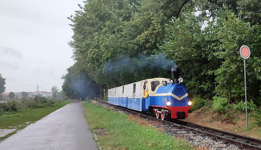 Maltanka pędząca w deszczu