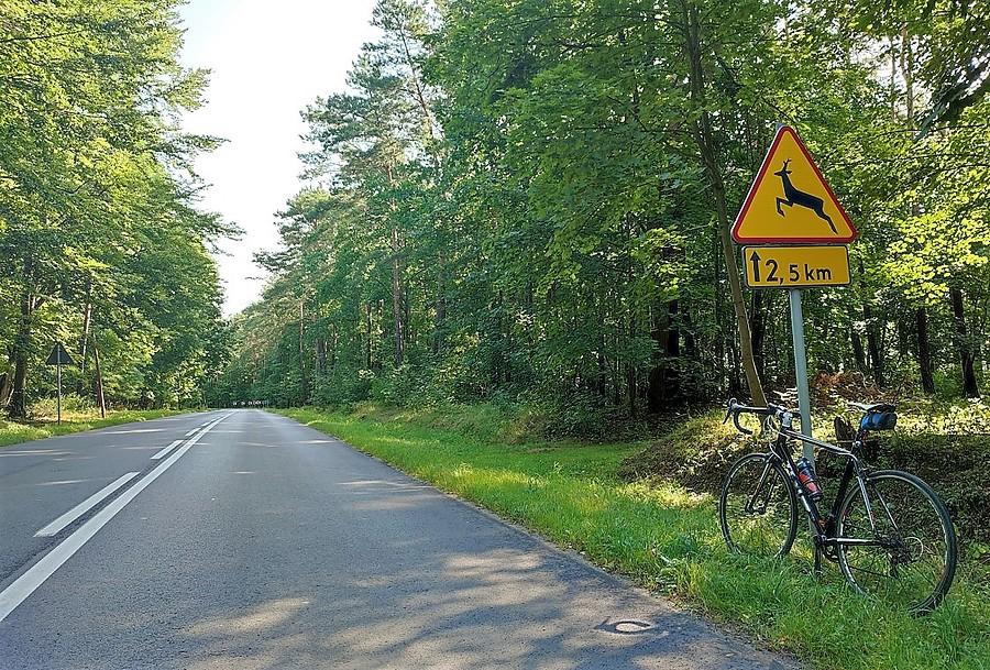 Droga między Kobylnicą a Wierzonką