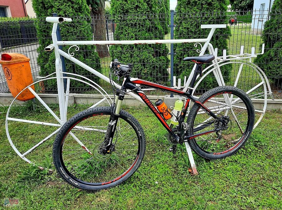 29'' w ramię L to bardzo mały roweryk