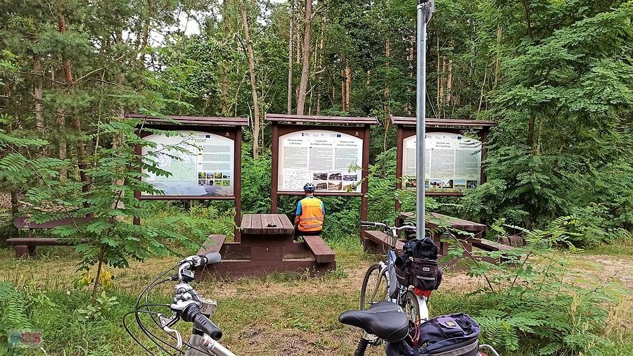 Przy ścieżce rowerowej na trasie Pełczyce-Barlinek