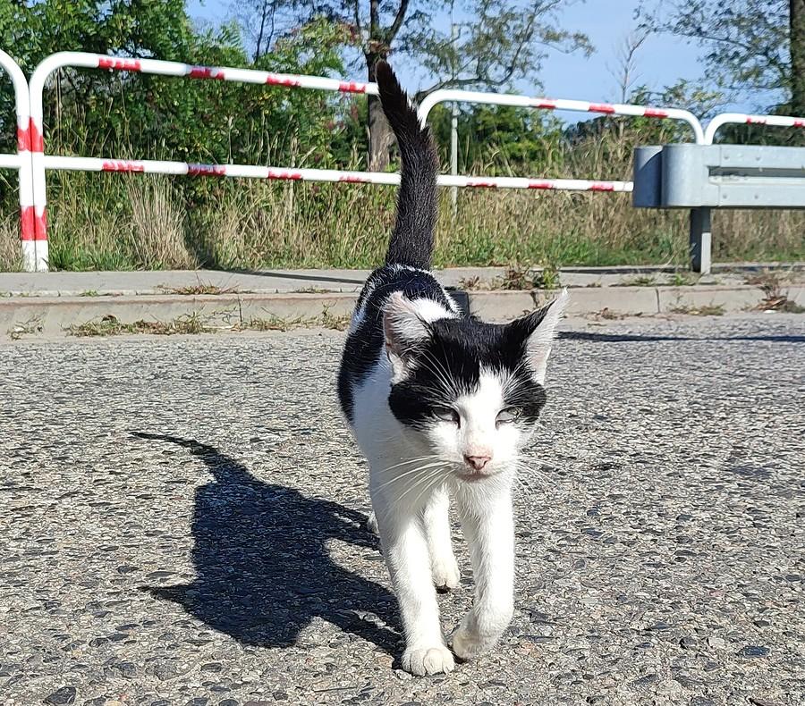 A my się przecież już kiedyś poznaliśmy :)
