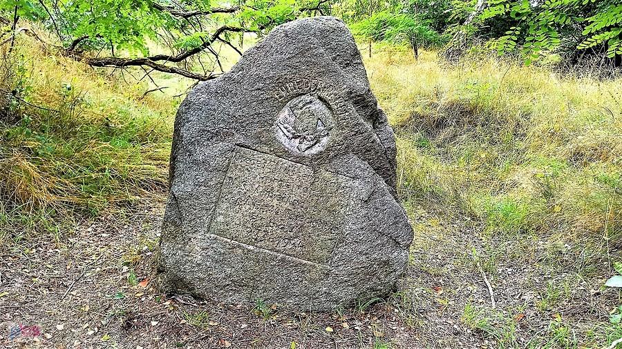 Interesujący kamień przy wjeździe do Dankowa od strony Barlinka