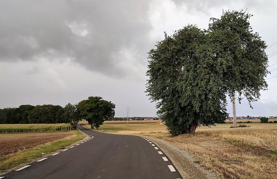 Już wiedziałem, że suchy nie wrócę