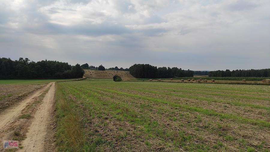 Gdzieś na trasie do Kołacinka