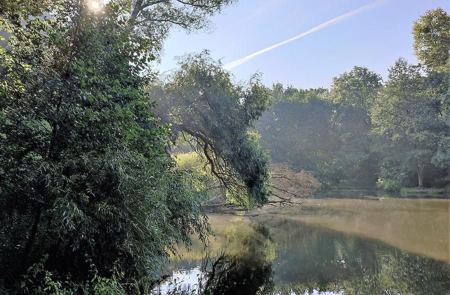 Poranek na Dębinie