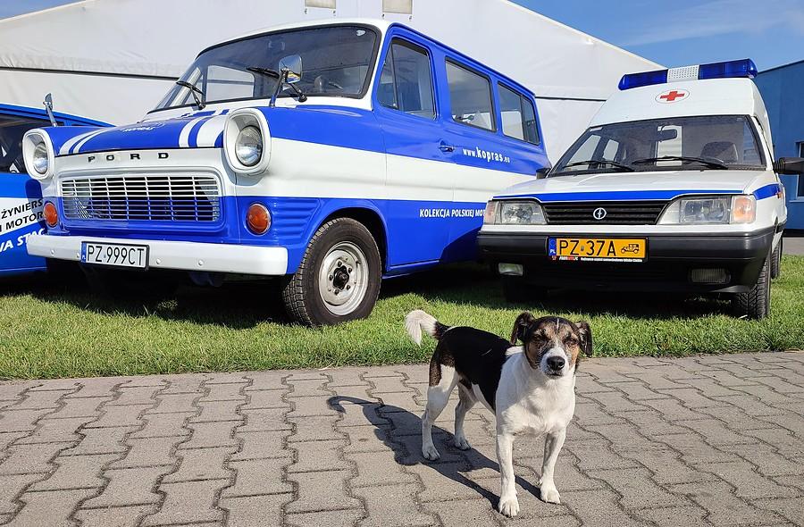Strażnik historii :)