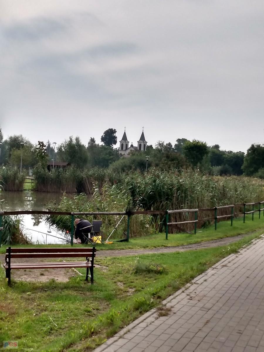 Staw w Borzęcinie