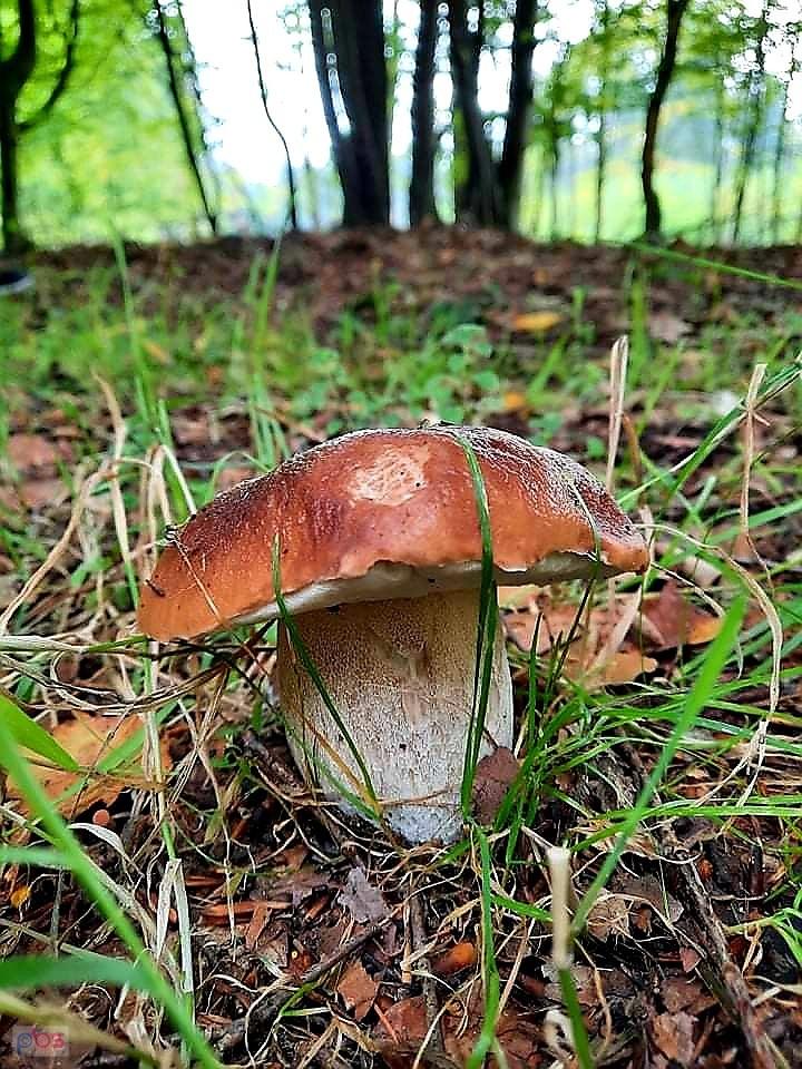 Sezon powoli się rozkręca
