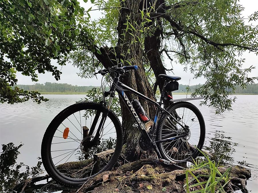 Ciężki sprzęt nad wodą