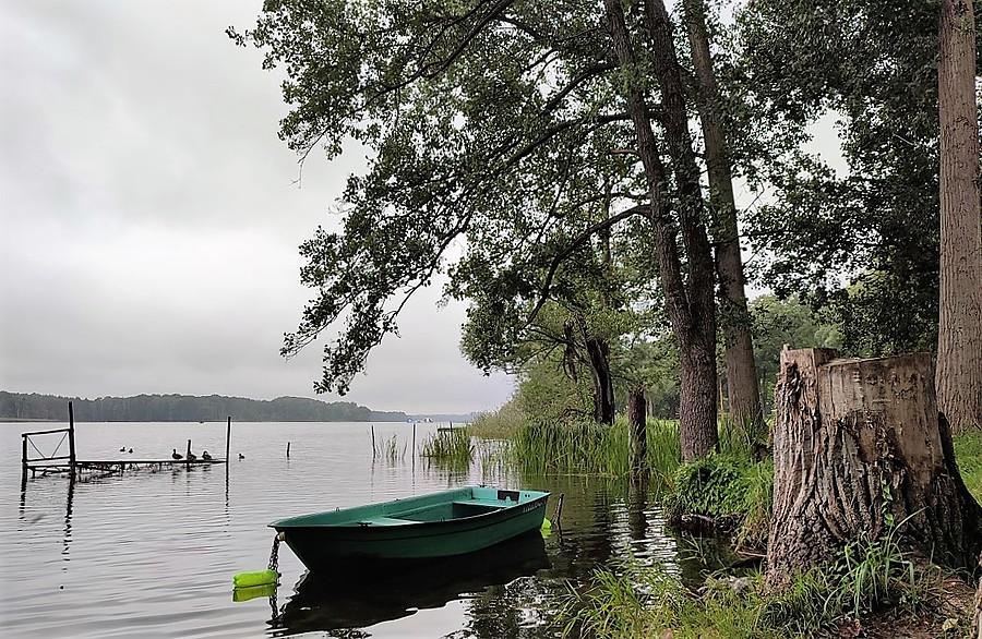 Deszczowe Jezioro Lusowskie