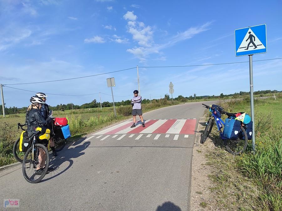 pasy w szczerym polu
