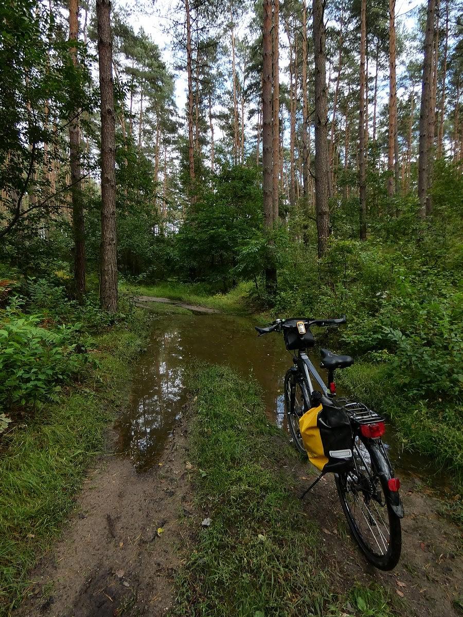 Kałuże na Niebieskim szlaku rowerowym