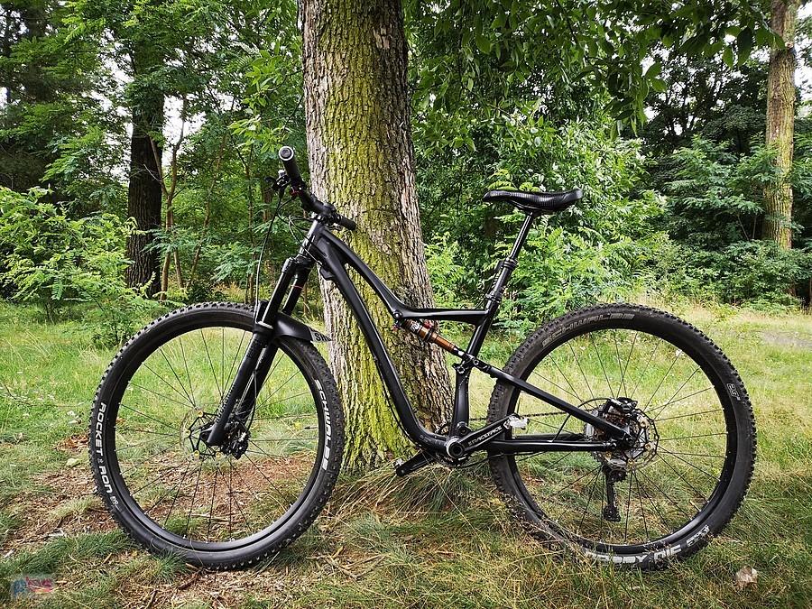 Specialized Rumor Evo