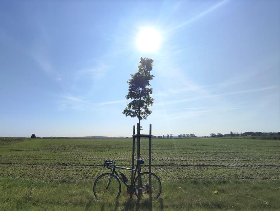Rowerowe oświecenie