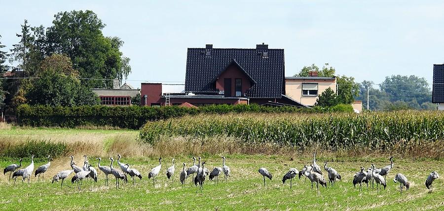 Zbliżenie na sejmik