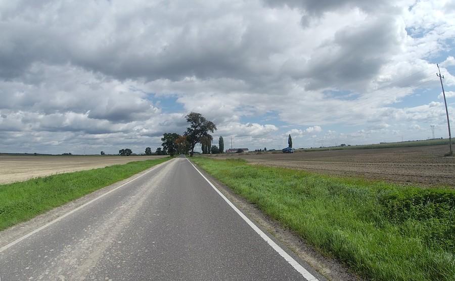 Gdzieś na trasie Leszno - Wąsy Wieś