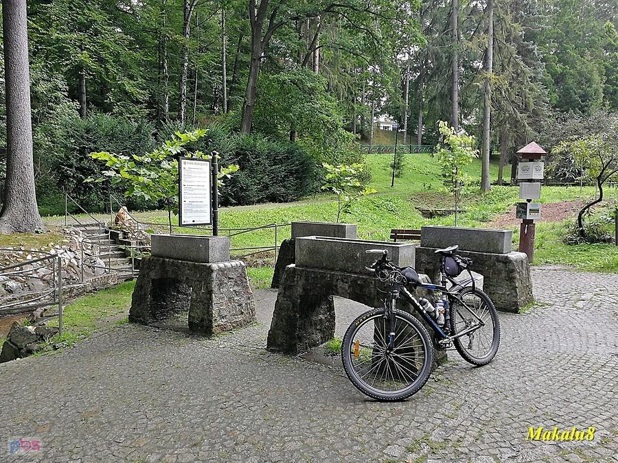 Głuchołazy, Park zdrojowy