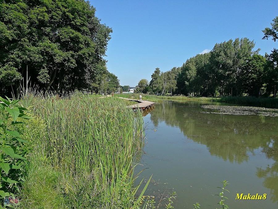 Czeladź, park Grabek.