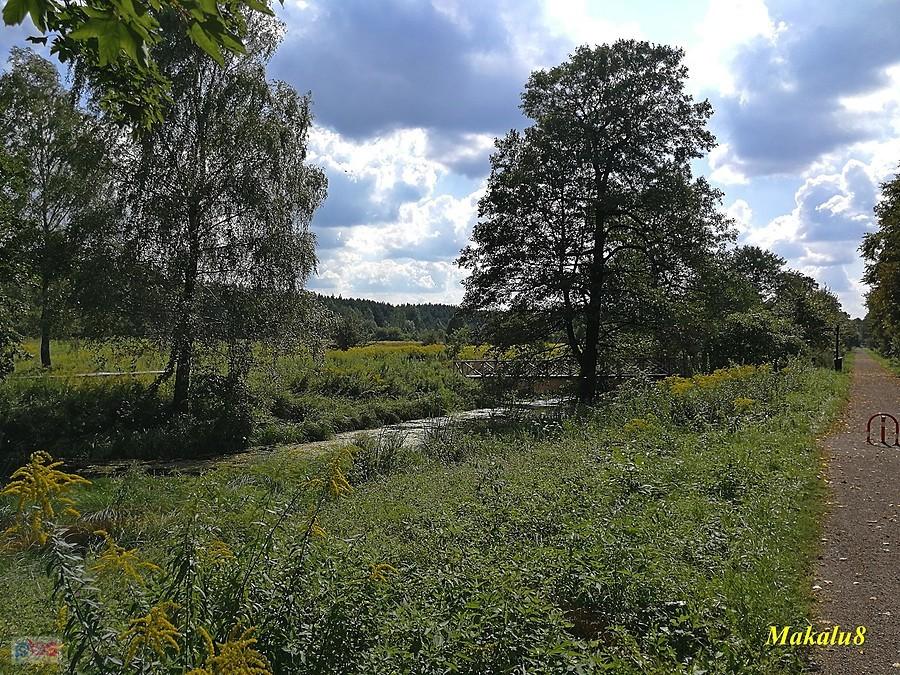 Sławków