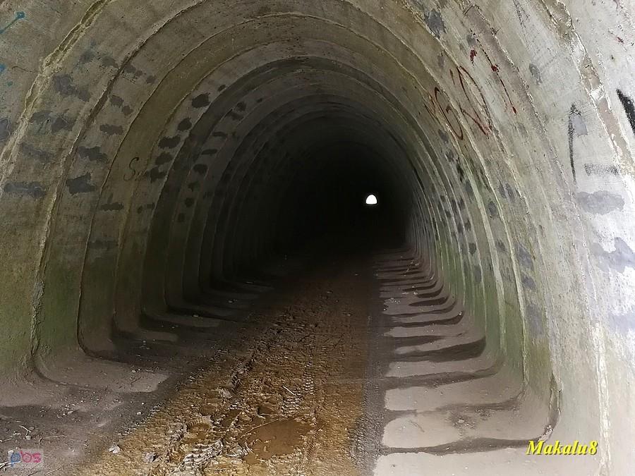 Tunel pod torami