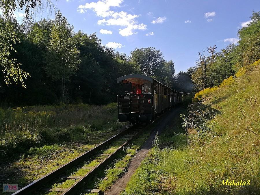 Górnośląskie Koleje Wąskotorowe