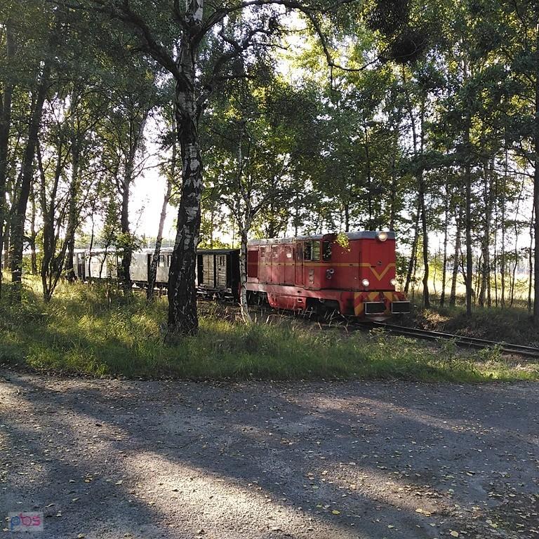 wąskotorówka na poligonie
