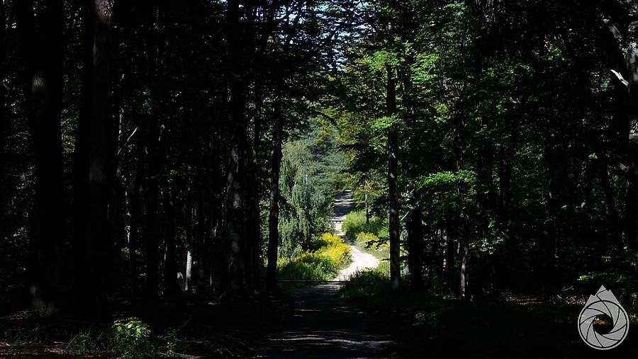 szutry nad Szklarami