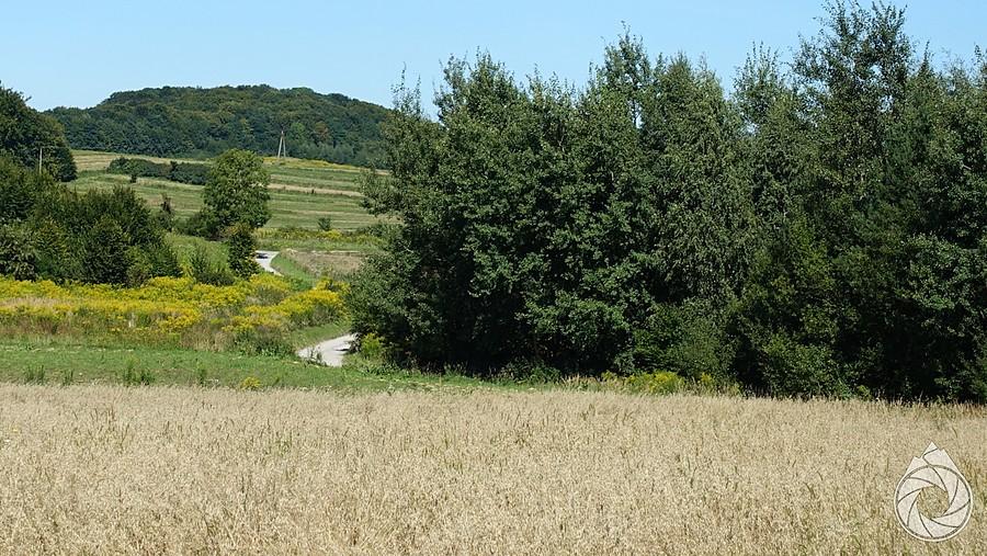 zakręcone drogi szutrowe gdzieś na północ