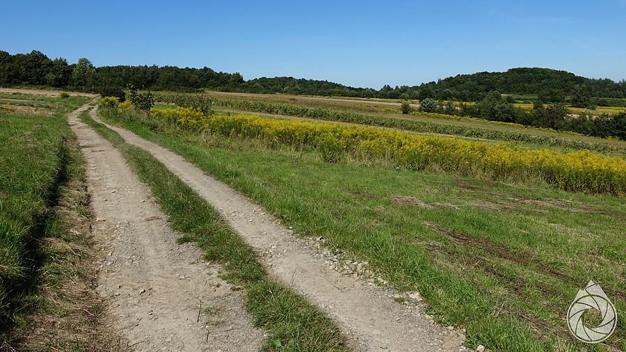 Racławickie (bez)droża szutrowe