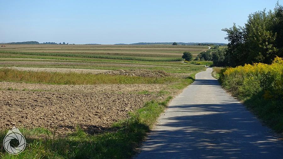 pola sułoszowskie pachnące obornikiem...