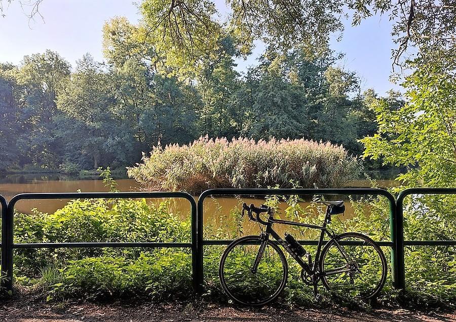 Słoneczny poranek, poznańska Dębina